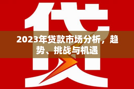 大武2023年贷款市场分析，趋势、挑战与机遇