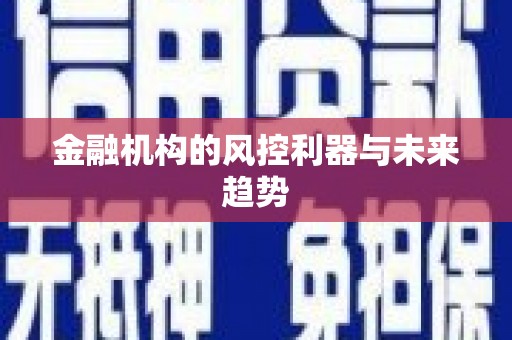 大武金融机构的风控利器与未来趋势