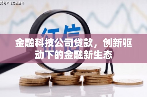 大武金融科技公司贷款，创新驱动下的金融新生态