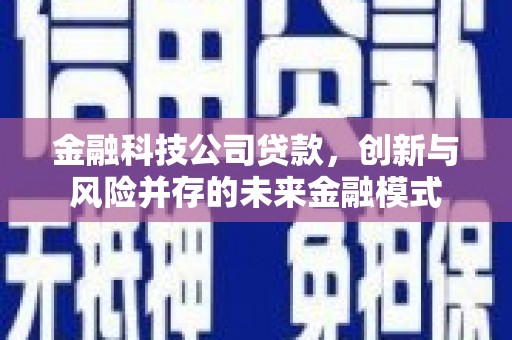 大武金融科技公司贷款，创新与风险并存的未来金融模式