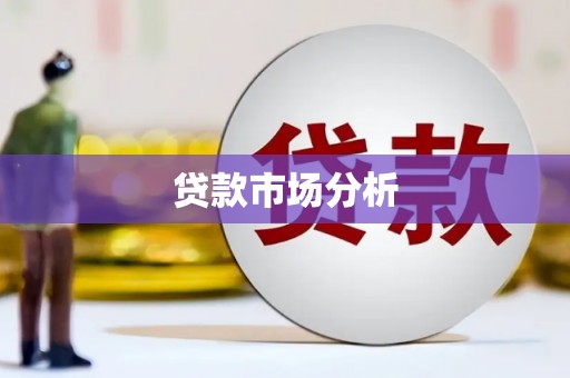 大武贷款市场分析
