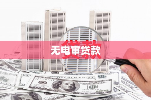 大武无电审贷款