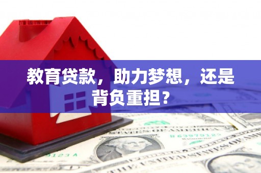 大武教育贷款，助力梦想，还是背负重担？