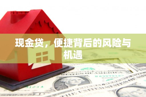大武现金贷，便捷背后的风险与机遇