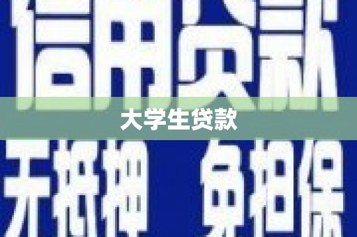 大武大学生贷款