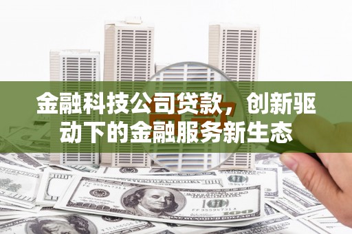 大武金融科技公司贷款，创新驱动下的金融服务新生态