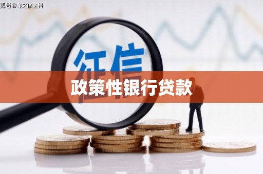 大武政策性银行贷款