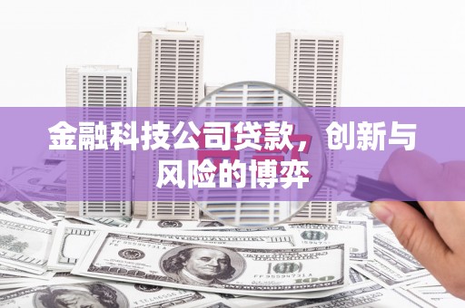 大武金融科技公司贷款，创新与风险的博弈