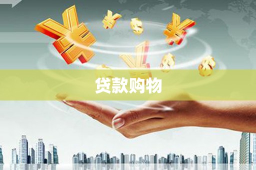 大武贷款购物