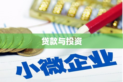 大武贷款与投资