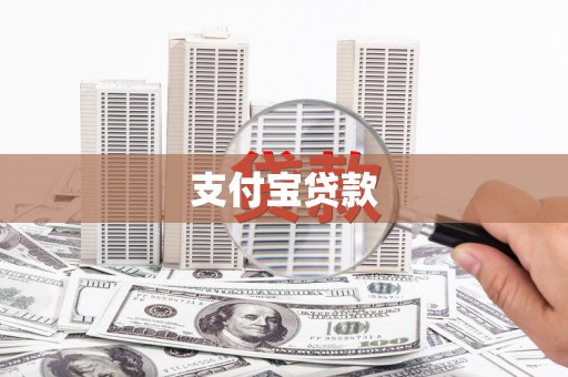 大武支付宝贷款