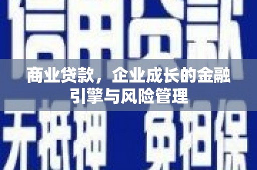 大武商业贷款，企业成长的金融引擎与风险管理