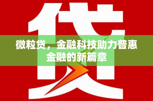 大武微粒贷，金融科技助力普惠金融的新篇章