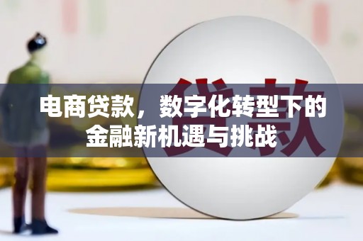 大武电商贷款，数字化转型下的金融新机遇与挑战