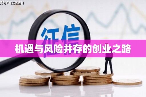 大武机遇与风险并存的创业之路
