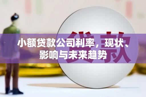 大武小额贷款公司利率，现状、影响与未来趋势
