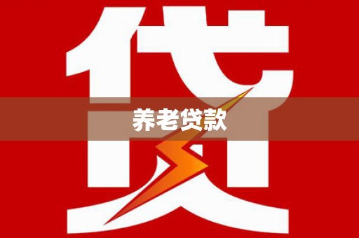 大武养老贷款