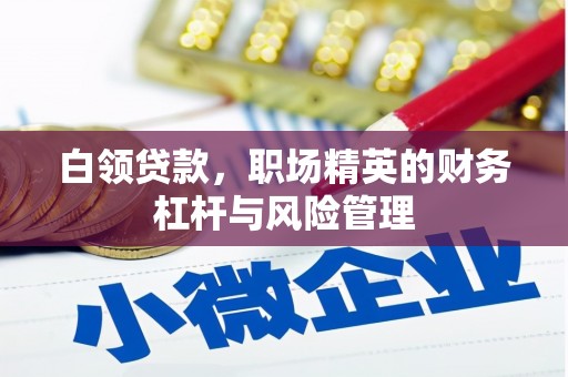 大武白领贷款，职场精英的财务杠杆与风险管理