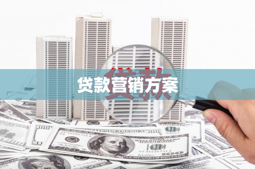 大武贷款营销方案