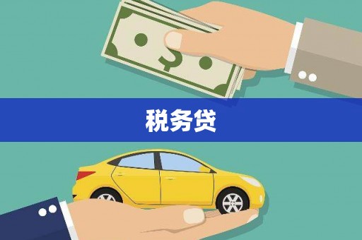 大武税务贷