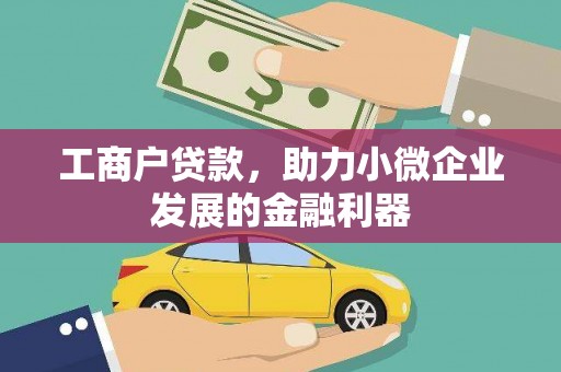 大武工商户贷款，助力小微企业发展的金融利器