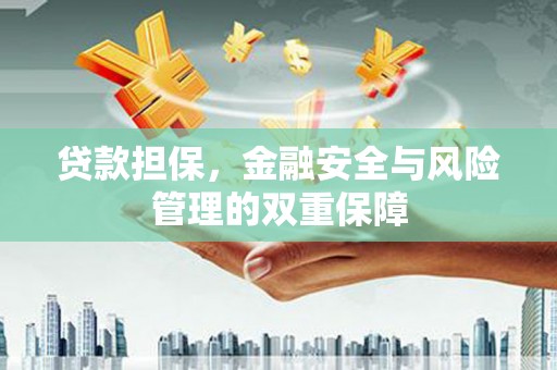大武贷款担保，金融安全与风险管理的双重保障