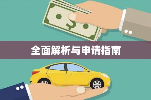 大武全面解析与申请指南