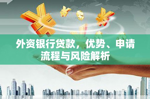 大武外资银行贷款，优势、申请流程与风险解析