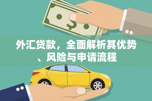 大武外汇贷款，全面解析其优势、风险与申请流程