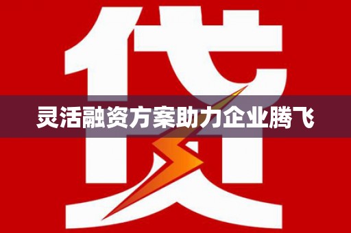 大武灵活融资方案助力企业腾飞