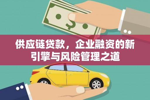 大武供应链贷款，企业融资的新引擎与风险管理之道