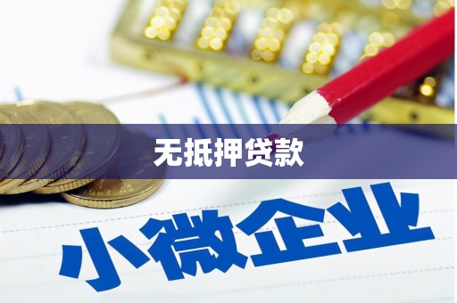 大武无抵押贷款