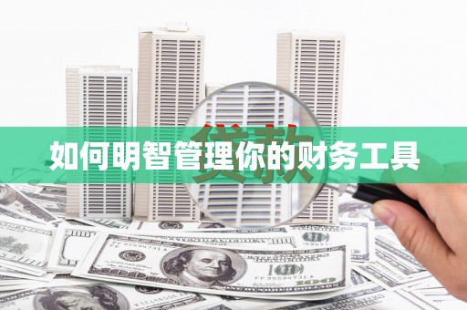 大武如何明智管理你的财务工具