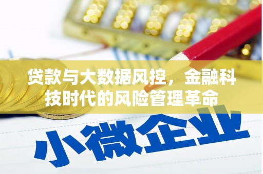 大武贷款与大数据风控，金融科技时代的风险管理革命