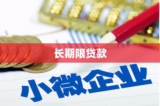 大武长期限贷款