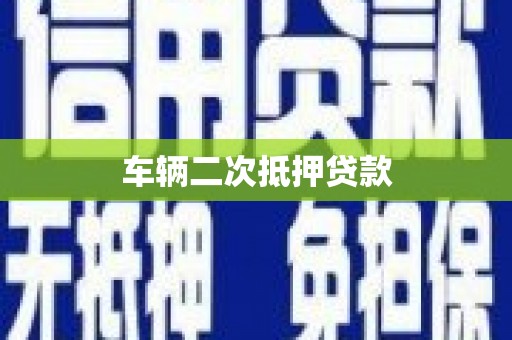 大武车辆二次抵押贷款