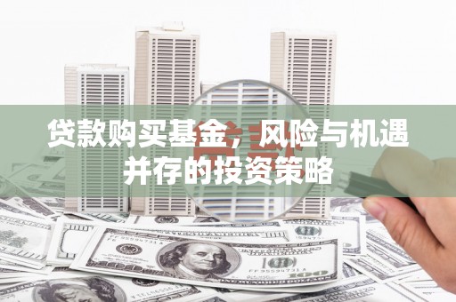 大武贷款购买基金，风险与机遇并存的投资策略