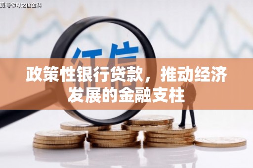 大武政策性银行贷款，推动经济发展的金融支柱