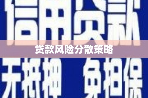 大武贷款风险分散策略