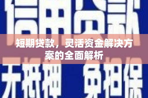 大武短期贷款，灵活资金解决方案的全面解析