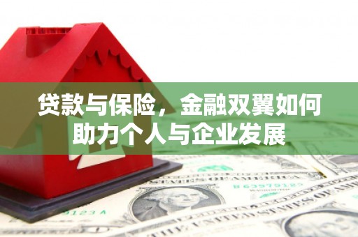 大武贷款与保险，金融双翼如何助力个人与企业发展