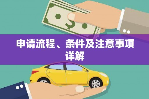 大武申请流程、条件及注意事项详解