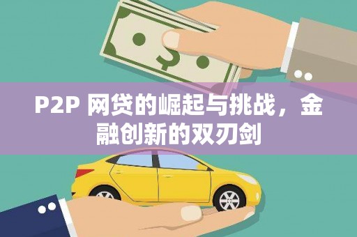 大武P2P 网贷的崛起与挑战，金融创新的双刃剑