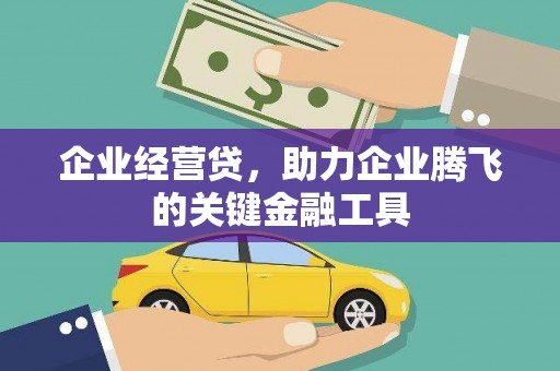 大武企业经营贷，助力企业腾飞的关键金融工具