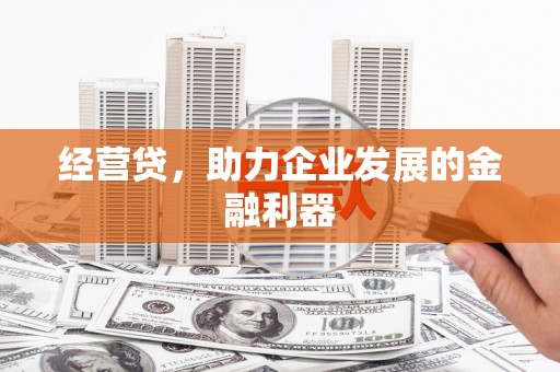 大武经营贷，助力企业发展的金融利器
