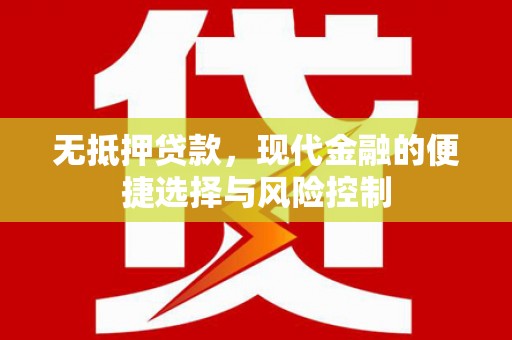 大武无抵押贷款，现代金融的便捷选择与风险控制