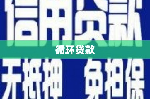 大武循环贷款