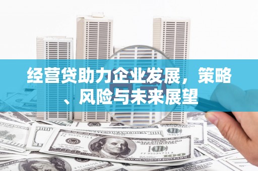 大武经营贷助力企业发展，策略、风险与未来展望
