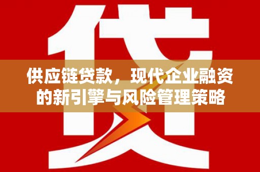 大武供应链贷款，现代企业融资的新引擎与风险管理策略