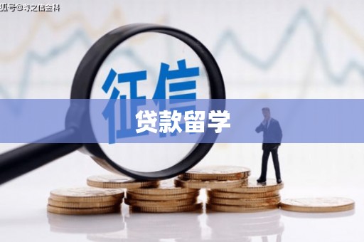 大武贷款留学